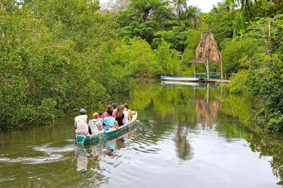 Guia de Viagem à Reserva Nacional Tambopata