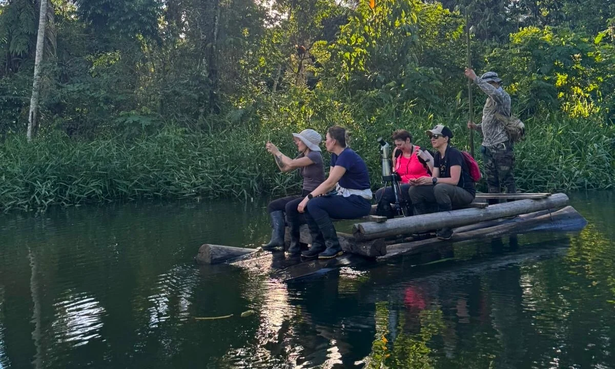 Viagem de Observação da Fauna Silvestre em Manu
