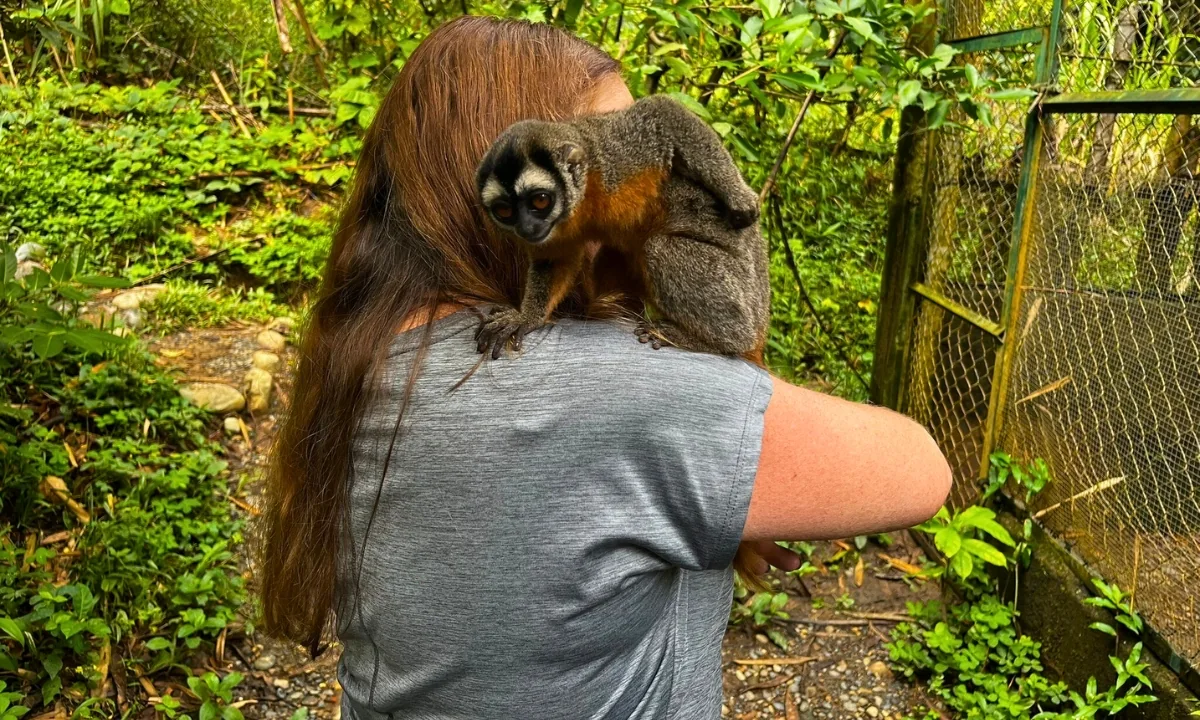 Viagem de Observação da Fauna Silvestre em Manu