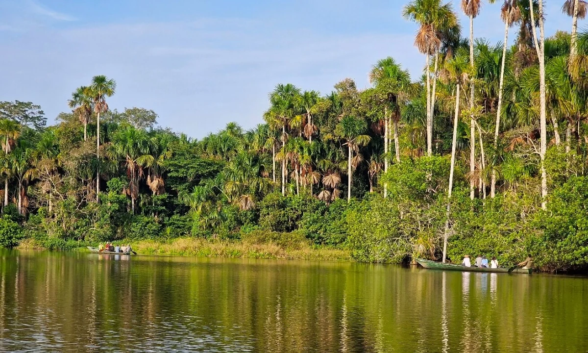 Guía de Viaje al Lago Sandoval