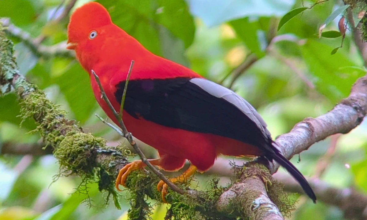 Mejores Agencias de Turismo al Parque Nacional del Manu