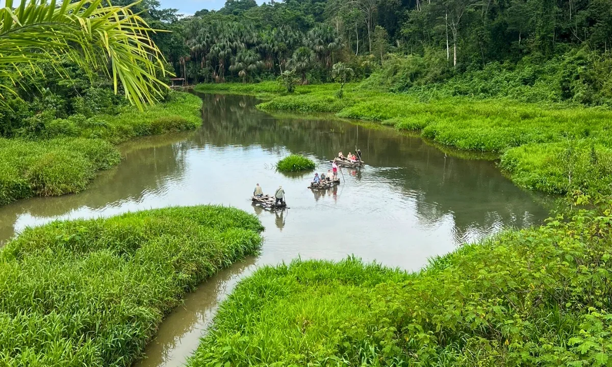 Mejores Agencias de Turismo al Parque Nacional del Manu